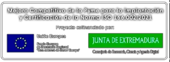 Mejora competitiva de la pyme