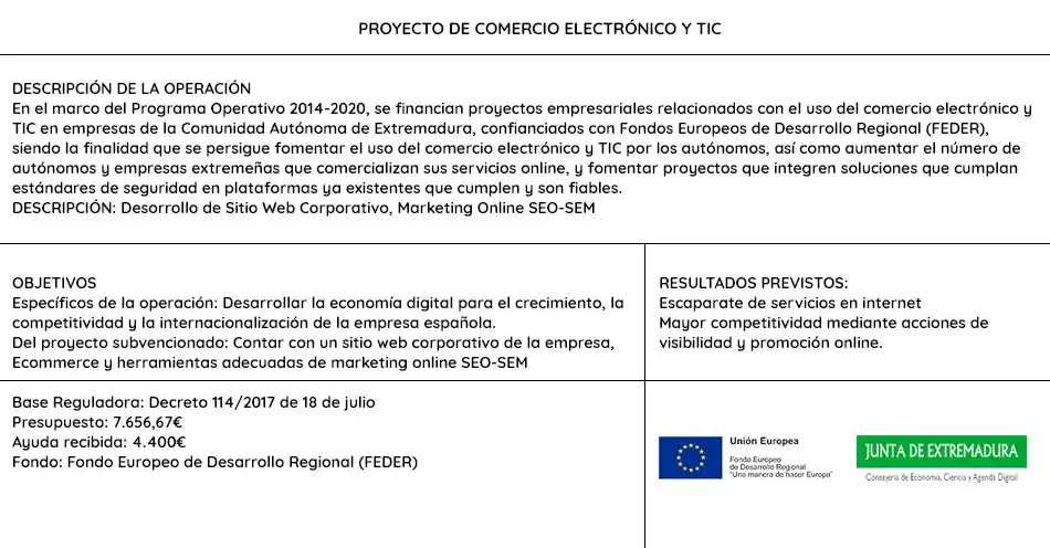 Ayudas comercio electrónico