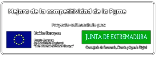 Mejora competitividad pyme