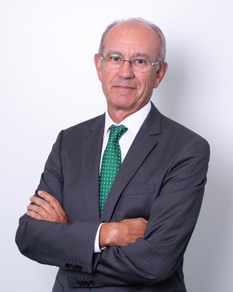 Carlos Arce Pardo